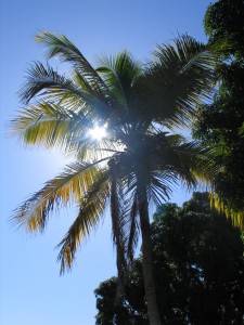 Haiti 06,07 042