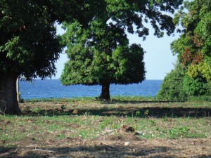 BY READING OUR BLOG