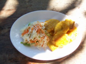 Plantains & Picklies St 016 (640x480)